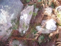Landarbaso III (Arg: 4)