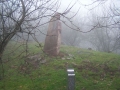 Txoritokieta (Arg: 1)