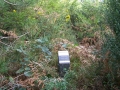 Tranpaluarri (Arg: 1)