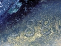 Artsu