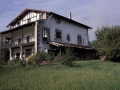 Blankaenea