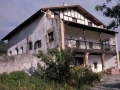 Blankaenea