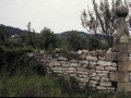 Blankaenea