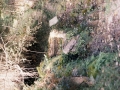Meagas