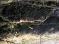Meagas