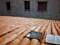 Egino