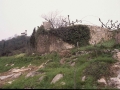 Santa Barbara