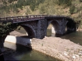 Fagollaga (Arg: 1)