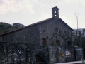 Paduako San Antonio