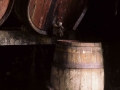 Alcoholera Puig y Cía. (Lekunberri y Cía.)