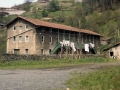 Alcoholera Puig y Cía. (Lekunberri y Cía.)