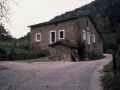 Goiko Alde