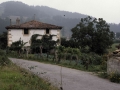 Bekokalbario