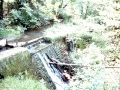 Antoju