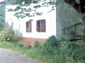 Primaut