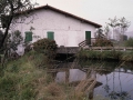 Ugalde