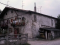 Oianguren