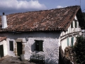 Lizardi
