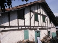 Lizardi