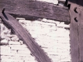 Lizardi
