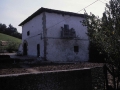 Beltranenea