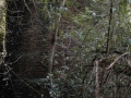 Hirugurutzeta