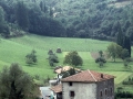 Aranzate