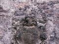 Aranzate