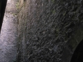 Aranzate