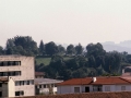 del Parque
