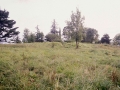 del Parque