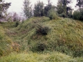 del Parque