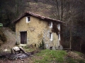 Lizardi errota