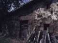 Kusturrutxu (Gorosterrazu)