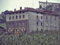 Zaldu