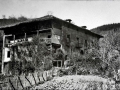 Bikuña (Bikuña Aundi)
