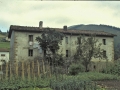 Ubitarte