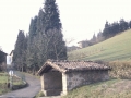 San Migel