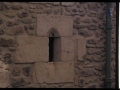 Andresenea