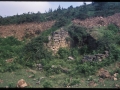 Otaño