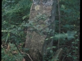 Udana