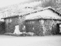 Mirandaola