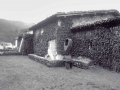 Mirandaola