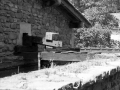 Mirandaola