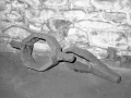 Mirandaola