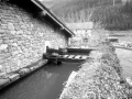 Mirandaola