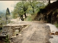 Udana