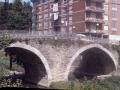 Torreko zubia (Torreauzo)