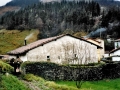 Zuloaga