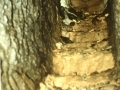Arditurri